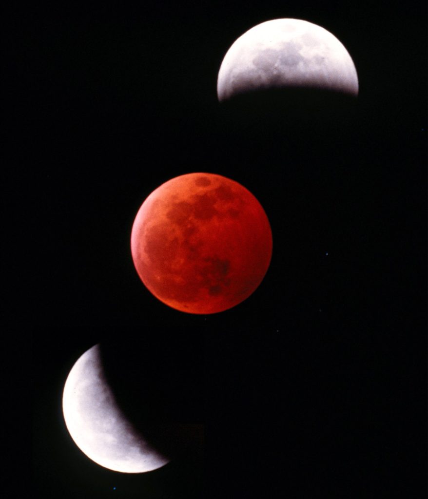 Immagine dell'eclissi totale di luna scattata col telescopio da Marco Massa